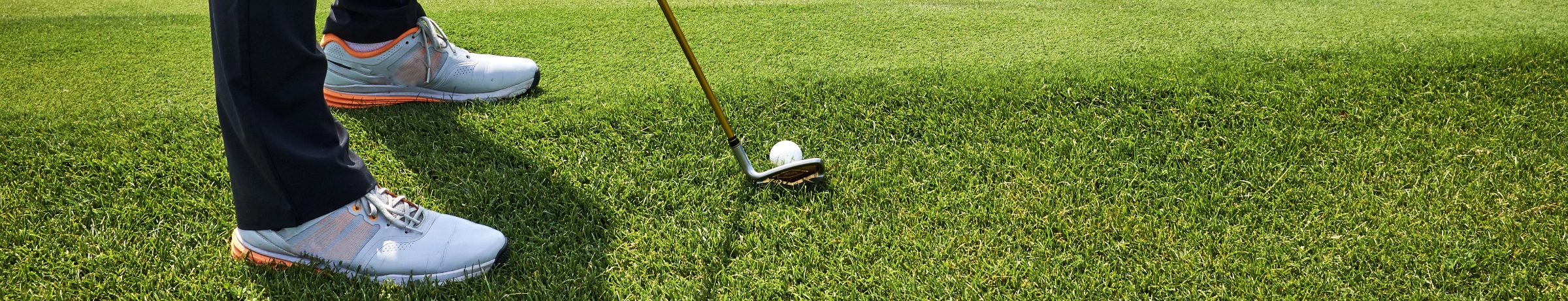 Image Gallery tec-nut.com for Acme Golf Clubs - New Company, Company Website, Golf lessons, Golf courses, Free Website, Tec-Nut.com Websites, Website Builder, No Coding Website, Simple Website, Easy Website, Free Website, New Website